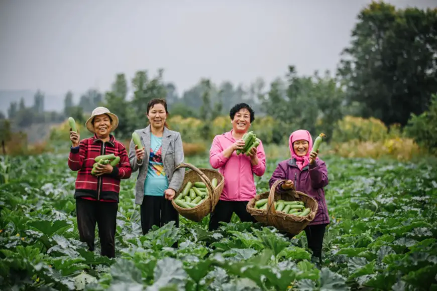 UN Women China Qinghai programme has benefited local women. Photo: UN Women