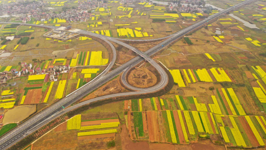 Guangchang – Ji'an expressway forms a splendid picture with surrounding rape flowers in Taihe County, Ji'an, east China's Jiangxi Province, Feb. 27. (Photo by Deng Heping/People's Daily Online)