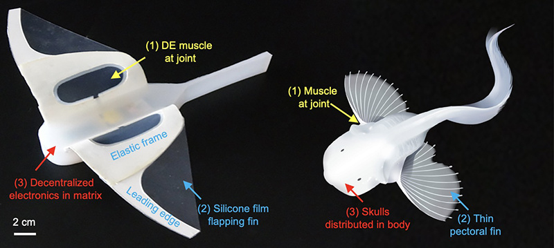 An illustration of the self-powered deep-sea soft robot in the Mariana Trench (Photo/official website of the Zhejiang Lab)