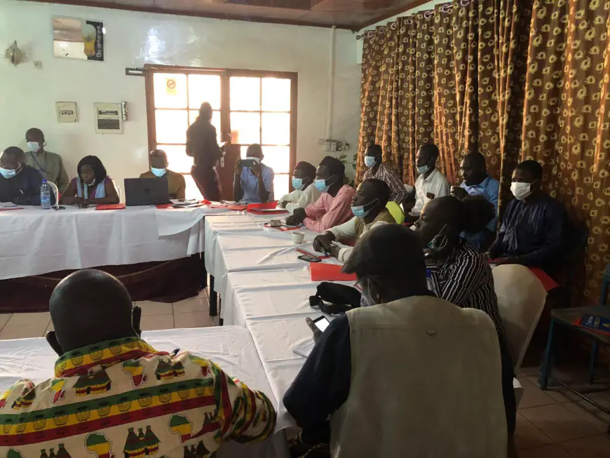 Tchad : le PNUD renforce les capacités des journalistes sur la crise sanitaire