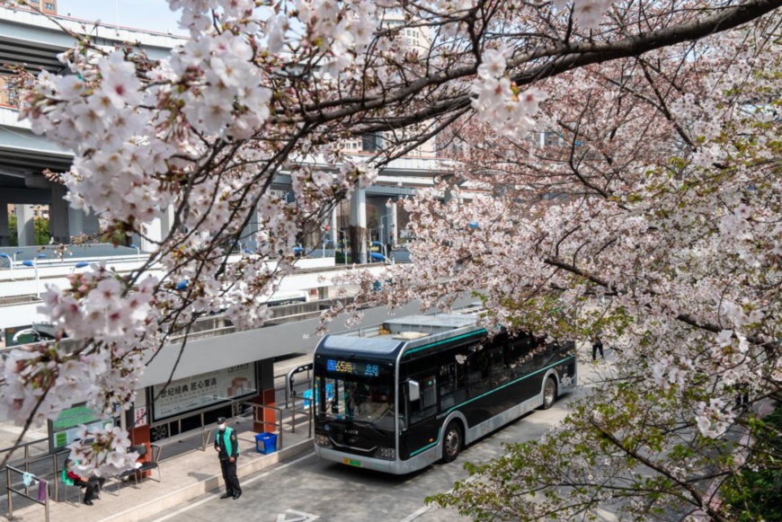 Photo shows a bus transit hub in east China’s Shanghai, March 24, 2020. (Photo by Wang Gang/People’s Daily Online)