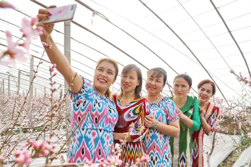Local tourists in ethnic clothes take photos while enjoying peach blossoms at an orchard in Kuqa, northwest China’s Xinjiang Uygur autonomous region, Feb. 24, 2021. (Photo by Wu Le/People’s Daily Online)