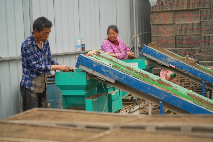 Farmers operate agricultural machines in Pengshan District, Meishan, southwest China’s Sichuan Province. (Photo by Wang Mingfeng/People’s Daily)