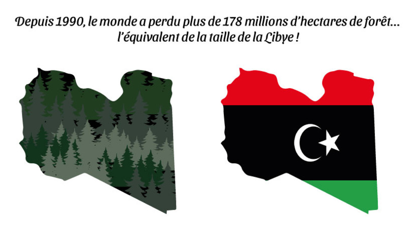 Depuis 1990, le monde a perdu plus de 178 millions d'hectares de forêt... l'équivalent de la taille de la Libye ! - par Gilles Berdugo. Depuis 1990, le monde a perdu plus de 178 millions d'hectares de forêt... l'équivalent de la taille de la Libye ! - par Gilles Berdugo.