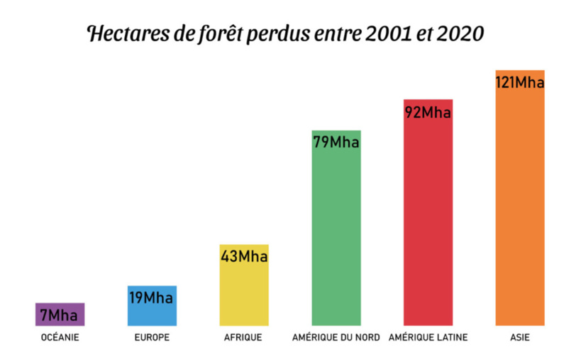 Perte d'arbres régionaux par continent de 2001 à 2020, données Global Forest Watch - par Gilles Berdugo.