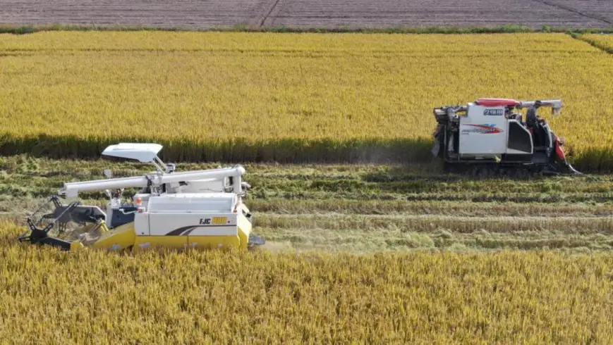 Unmanned farm projects boost development of smart agriculture in China