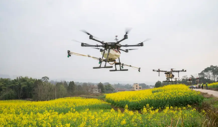 Two drones spray liquid fertilizer over a planting base of high-quality wheat in Huayuan town, Tancheng county, east China's Shandong province, Feb. 27, 2021. (Photo by Fang Dehua/People's Daily Online)
