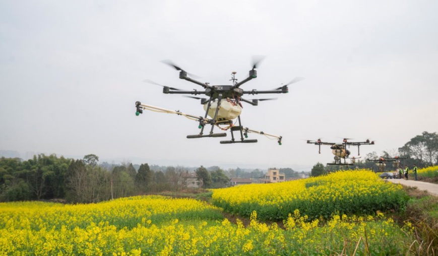 Two drones spray liquid fertilizer over a planting base of high-quality wheat in Huayuan town, Tancheng county, east China's Shandong province, Feb. 27, 2021. (Photo by Fang Dehua/People's Daily Online)