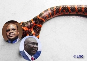 Centrafrique : Tiangaye VS Djotodia du sable dans le couscous Centrafrique : Tiangaye VS Djotodia du sable dans le couscous