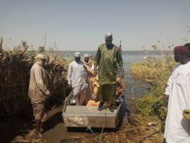 Tchad : d'importantes pertes suite à l'incendie au village Malia, au Lac Tchad : d'importantes pertes suite à l'incendie au village Malia, au Lac