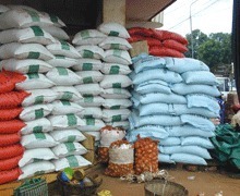 Sénégal : Les deux seuls leviers sur lesquels le Président peut s’appuyer pour baisser le prix du riz