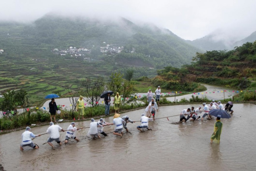 A tug of war competition is held in a terraced field on Fuzhi Mountain of Lingnan Township, Shaoxing, east China's Zhejiang Province, June 20, 2020. (Photo by Zhu Shengjun/People's Daily Online)