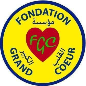 Tchad : la FGC devient Fondation Idriss Deby Itno "Grand Cœur" Tchad : la FGC devient Fondation Idriss Deby Itno "Grand Cœur"