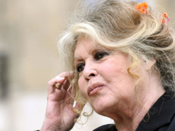 Tchad : Brigitte Bardot rend hommage au président Idriss Deby