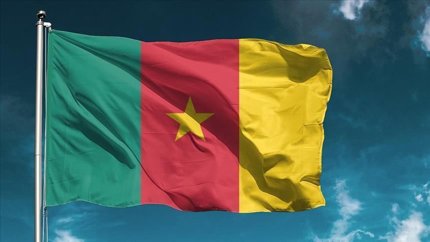 Le drapeau camerounais. © DR