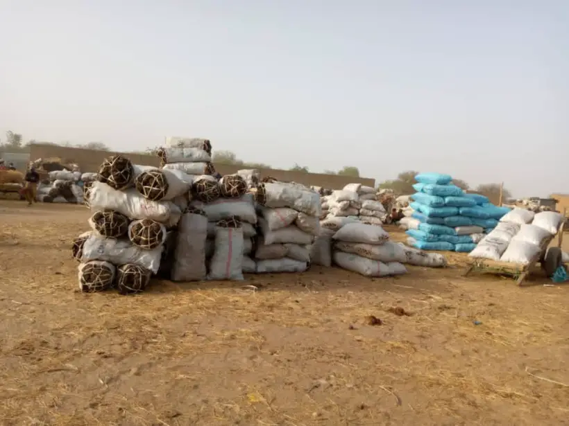 Tchad : la bouse de vache, un combustible très utilisé