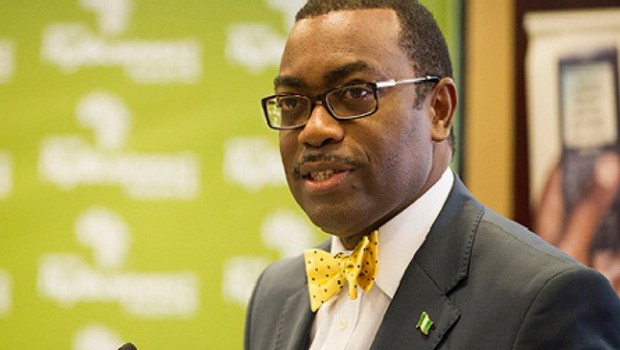 Le président de la BAD, Akinwumi Adesina. © DR