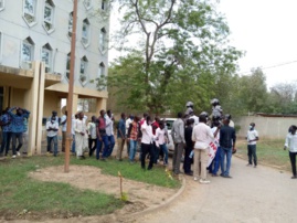 Tchad : le collectif des lauréats de l’éducation veut manifester le 24 mai prochain Tchad : le collectif des lauréats de l’éducation veut manifester le 24 mai prochain