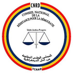 Politique : le président du CNRD suspend à son tour le secrétaire général