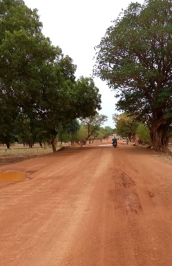 Tchad : le bitumage de la route Kelo-Pala arrêté pour manque de financement Tchad : le bitumage de la route Kelo-Pala arrêté pour manque de financement