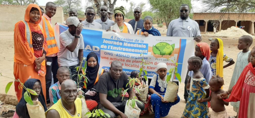Tchad : l’ONG ASHAD plante des arbres dans 50 ménages à Klessoum Tchad : l’ONG ASHAD plante des arbres dans 50 ménages à Klessoum