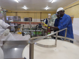 Tchad : le secteur du coton enregistre des progrès tangibles Tchad : le secteur du coton enregistre des progrès tangibles