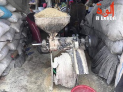 Tchad : la pauvreté et l'insécurité alimentaire gagnent du terrain Tchad : la pauvreté et l'insécurité alimentaire gagnent du terrain