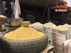 Tchad : la pauvreté et l'insécurité alimentaire gagnent du terrain