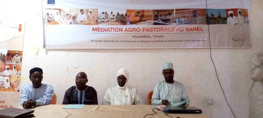 Tchad : les perspectives agro-pastorales au Lac au centre d'une réflexion Tchad : les perspectives agro-pastorales au Lac au centre d'une réflexion