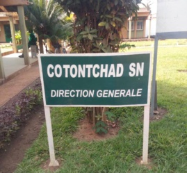 Tchad : les employés de la Coton Tchad SN entrent en grève Tchad : les employés de la Coton Tchad SN entrent en grève