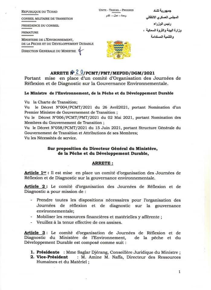 Tchad : une réflexion et un diagnostic sur la gouvernance environnementale en perspective Tchad : une réflexion et un diagnostic sur la gouvernance environnementale en perspective