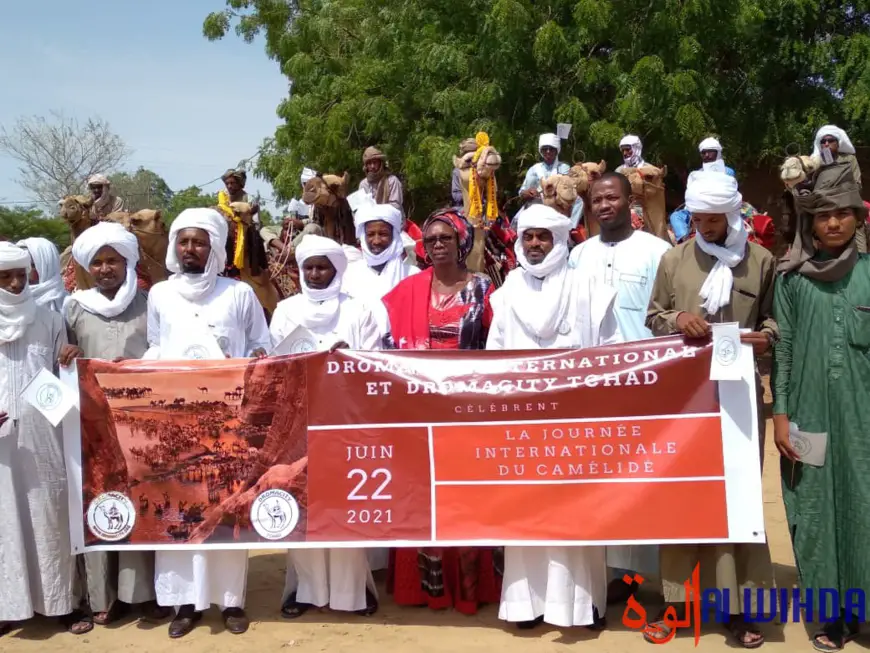 Le Tchad a célébré la journée internationale du dromadaire