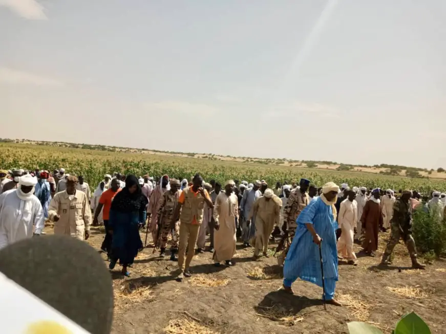 Tchad : le redressement économique et social du Lac au cœur des préoccupations