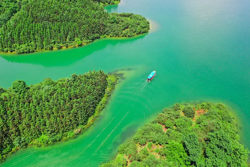 Photo taken on June 13, 2021 shows a beautiful view in Tianhu National Wetland Park in Changning, central China’s Hunan province. (Photo by Zhou Xiuyuchun/People’s Daily Online)