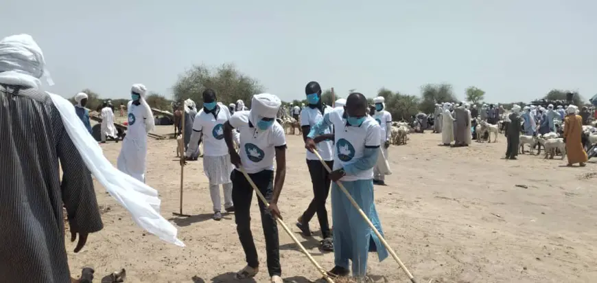 Tchad : des jeunes ambassadeurs du pastoralisme mènent des actions citoyennes