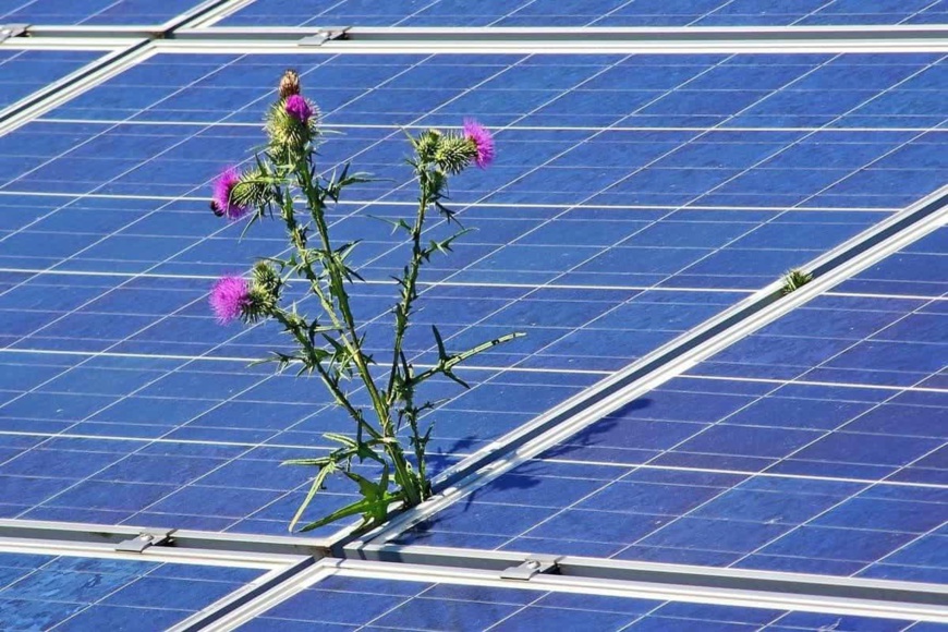 Transitions énergétiques : des perspectives de croissance pour l'économie mondiale