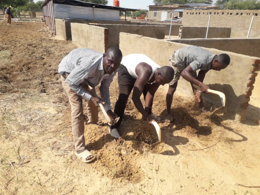 Tchad : la cherté de la vie à N'Djamena pousse des citoyens vers la terre Tchad : la cherté de la vie à N'Djamena pousse des citoyens vers la terre