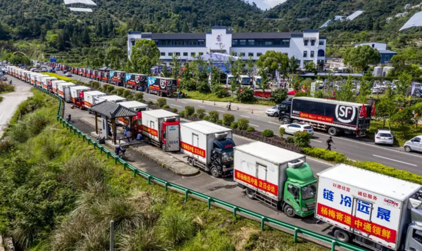 Photo taken on June 3, 2021, shows express delivery vehicles gathering at Xilu village, Bulu township, Xianju county, Taizhou city, east China’s Zhejiang province, to transport local fresh waxberries to other regions. (Photo by Chen Yueming/People’s Daily Online)