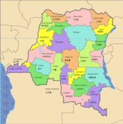 Assises des concertations nationales en RD Congo‏ : La diaspora se prononce