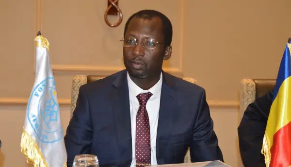 Tchad : pourquoi Issa Mahamat Abdelmamout est remplacé de l'IGE ?