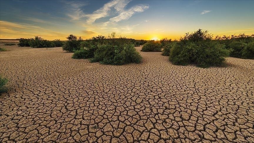 Changement climatique : l’engagement de la société civile africaine face au Covid-19