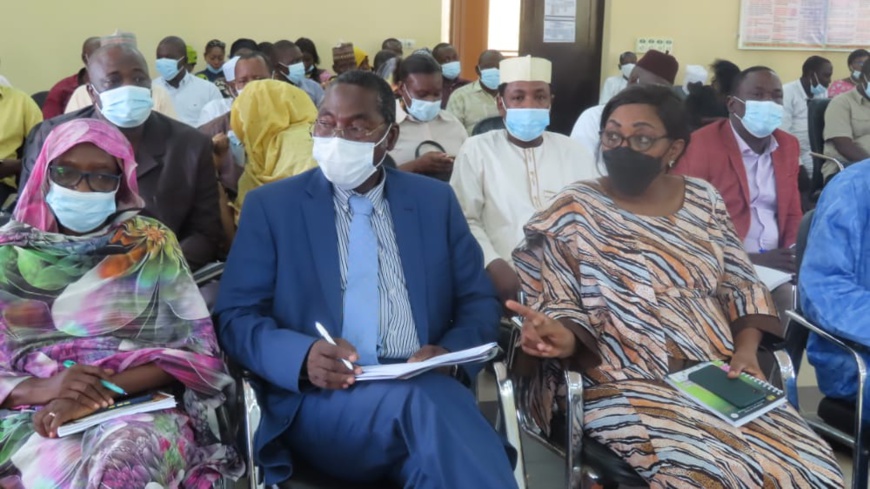 Tchad : le plan national de contingence de lutte contre le paludisme 2021 lancé Tchad : le plan national de contingence de lutte contre le paludisme 2021 lancé