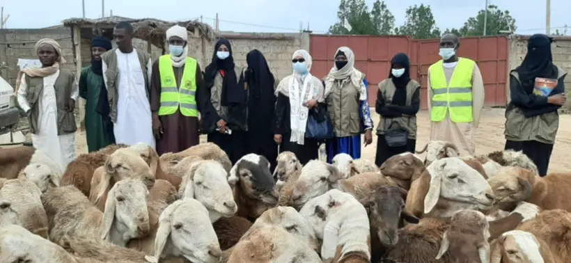 Tchad : Zilloul Arch distribue des moutons aux vulnérables à l'approche de l'AÏd Al Adha