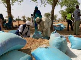 Tchad : les ménages vulnérables appuyés en intrants et outils agricoles au Sila Tchad : les ménages vulnérables appuyés en intrants et outils agricoles au Sila