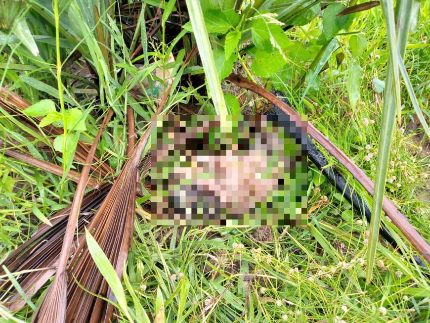 Tchad : le corps d’un nouveau-né découvert dans des buissons à Laï Tchad : le corps d’un nouveau-né découvert dans des buissons à Laï