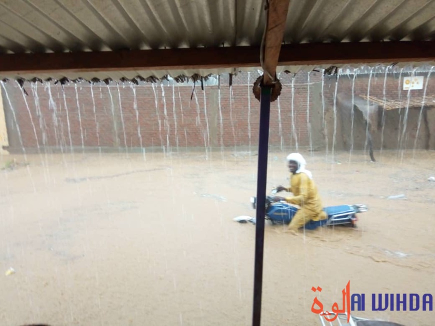 Tchad : une forte pluie à Abéché, des hangars et habitations détruits Tchad : une forte pluie à Abéché, des hangars et habitations détruits