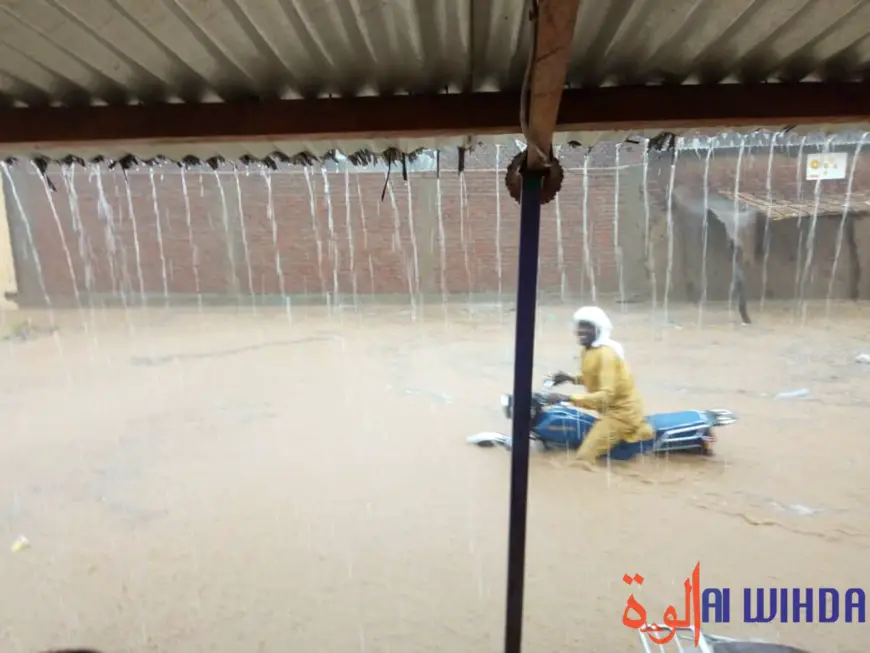Tchad : une forte pluie à Abéché, des hangars et habitations détruits