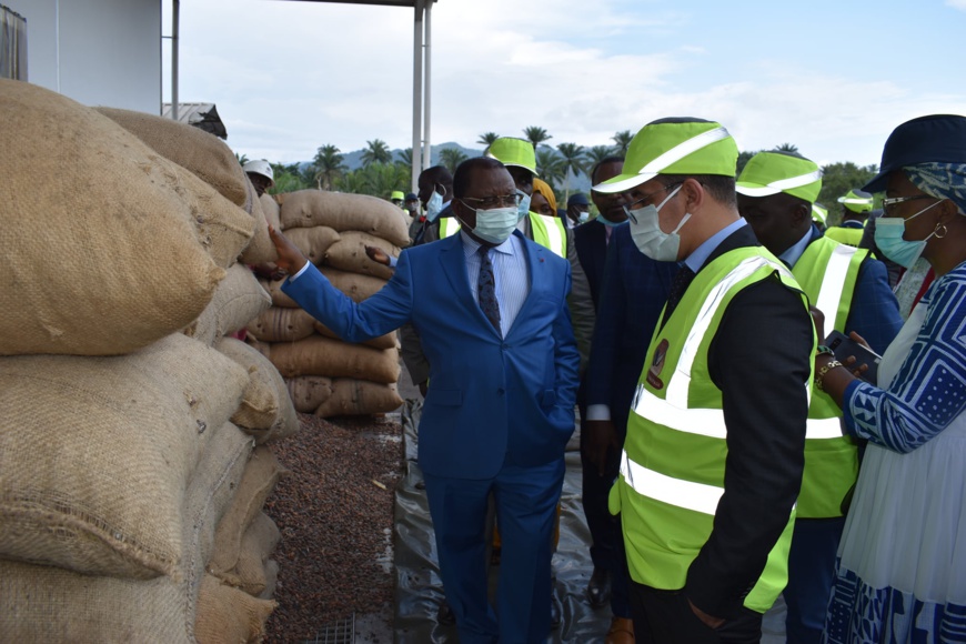 Cameroun : la campagne cacaoyère 2021-2022 est lancée Cameroun : la campagne cacaoyère 2021-2022 est lancée
