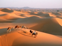 Le Maroc terre d’accueil et de tolérance Le Maroc terre d’accueil et de tolérance
