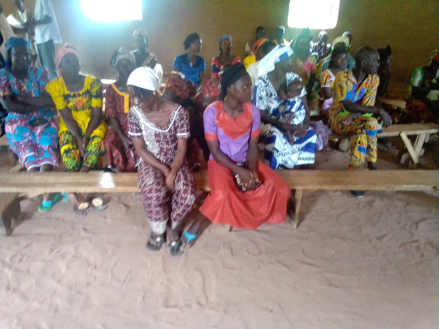 Tchad : les femmes découvrent les techniques des cultures maraîchères dans la Nya Tchad : les femmes découvrent les techniques des cultures maraîchères dans la Nya